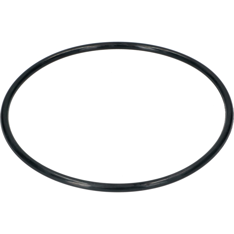 Прокладка O-Ring фильтра (крышки) помпы для посудомоечной машины Electrolux ACW502ZN (185X6,5MM.)- фото